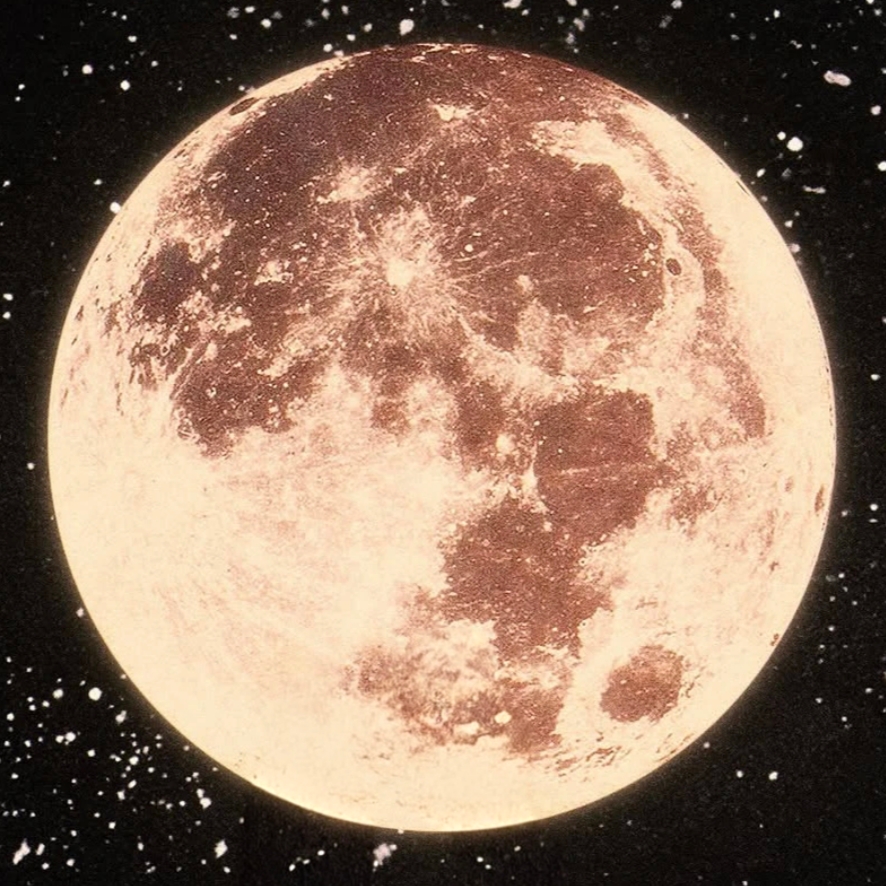 Avatar de alexwarren