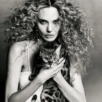 Imagem recente de angelinajolie