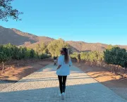 Imagem recente de any