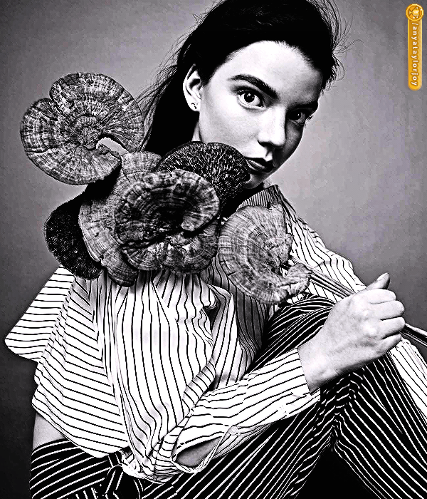 Foto de anyataylorjoy