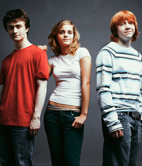 Foto de becodiagonal