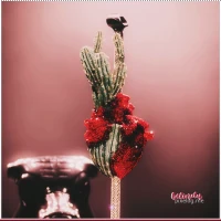 Imagem recente de belinda