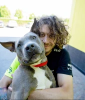 Imagem recente de bezzecchi