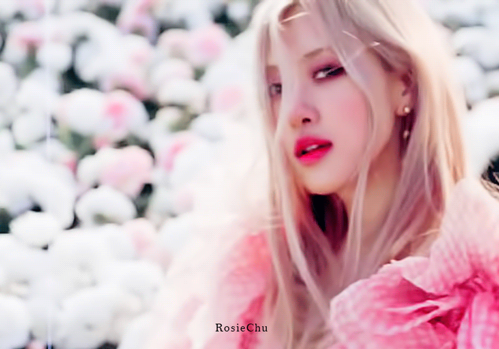 Imagem recente de blackpinkx