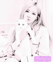 Imagem recente de blackpinkx