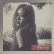 Imagem recente de blackpinkx