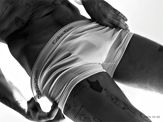 Imagem recente de bunny