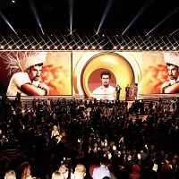 Imagem recente de bunny