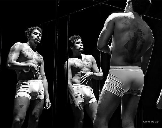 Imagem recente de bunny