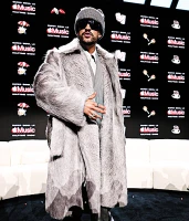 Imagem recente de bunny