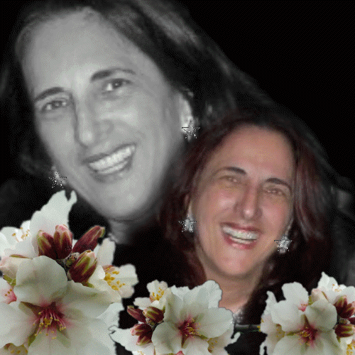 Foto de carrocinha_do_boludo