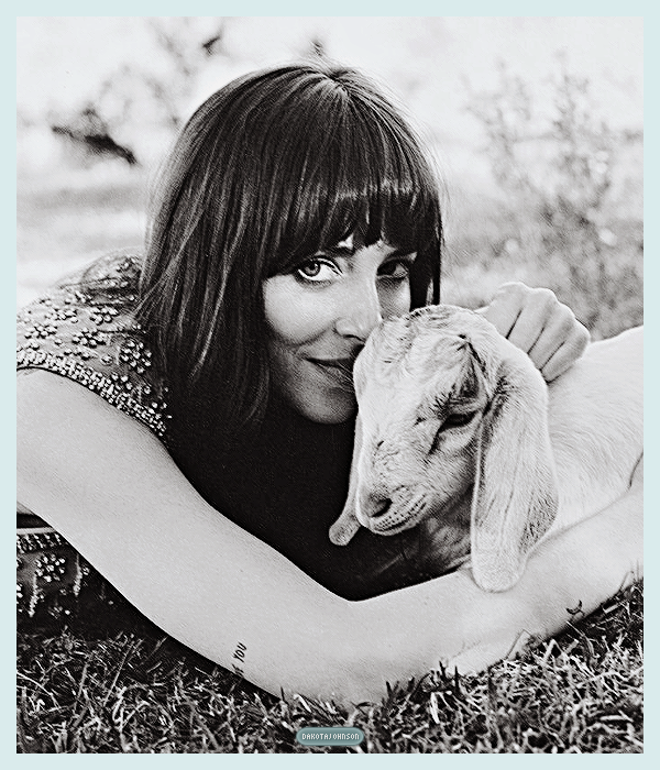 Foto de dakotajohnson