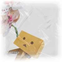 Imagem recente de danbo