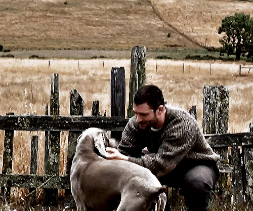 Foto de davidcorenswet