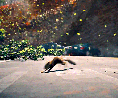 Foto de davidcorenswet