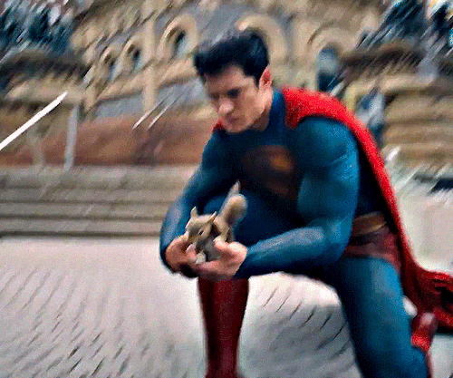 Imagem recente de davidcorenswet