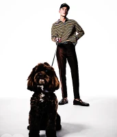 Imagem recente de drewstarkey