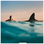 Imagem recente de dua_lipa