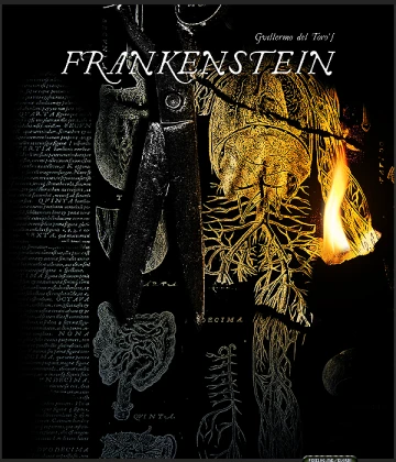 Imagem recente de elordi