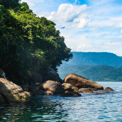 Imagem recente de essence