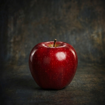 Avatar de flashofthegods