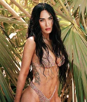 Imagem recente de fox