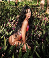 Imagem recente de fox