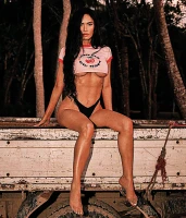 Imagem recente de fox