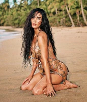 Imagem recente de fox