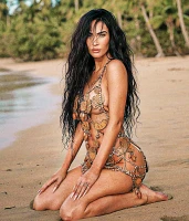 Imagem recente de fox