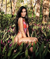 Imagem recente de fox