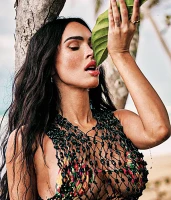 Imagem recente de fox