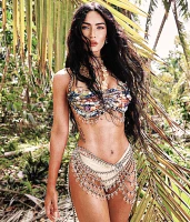 Imagem recente de fox