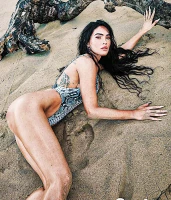 Imagem recente de fox