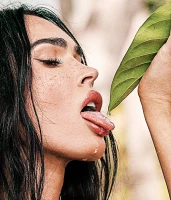 Imagem recente de fox