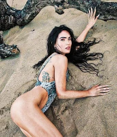 Imagem recente de fox