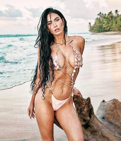 Imagem recente de fox