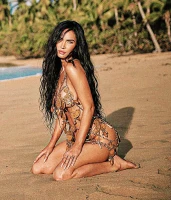 Imagem recente de fox