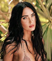 Imagem recente de fox