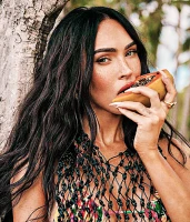 Imagem recente de fox