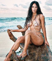 Imagem recente de fox