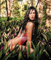 Imagem recente de fox