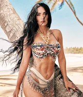 Imagem recente de fox