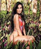 Imagem recente de fox