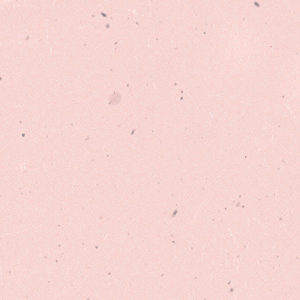 Foto de haileybieber