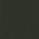 Imagem recente de haileybieber