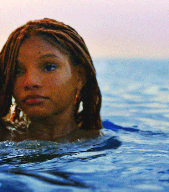 Imagem recente de hallebailey