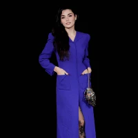 Imagem recente de handeercel