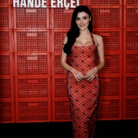 Imagem recente de handeercel