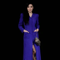 Imagem recente de handeercel